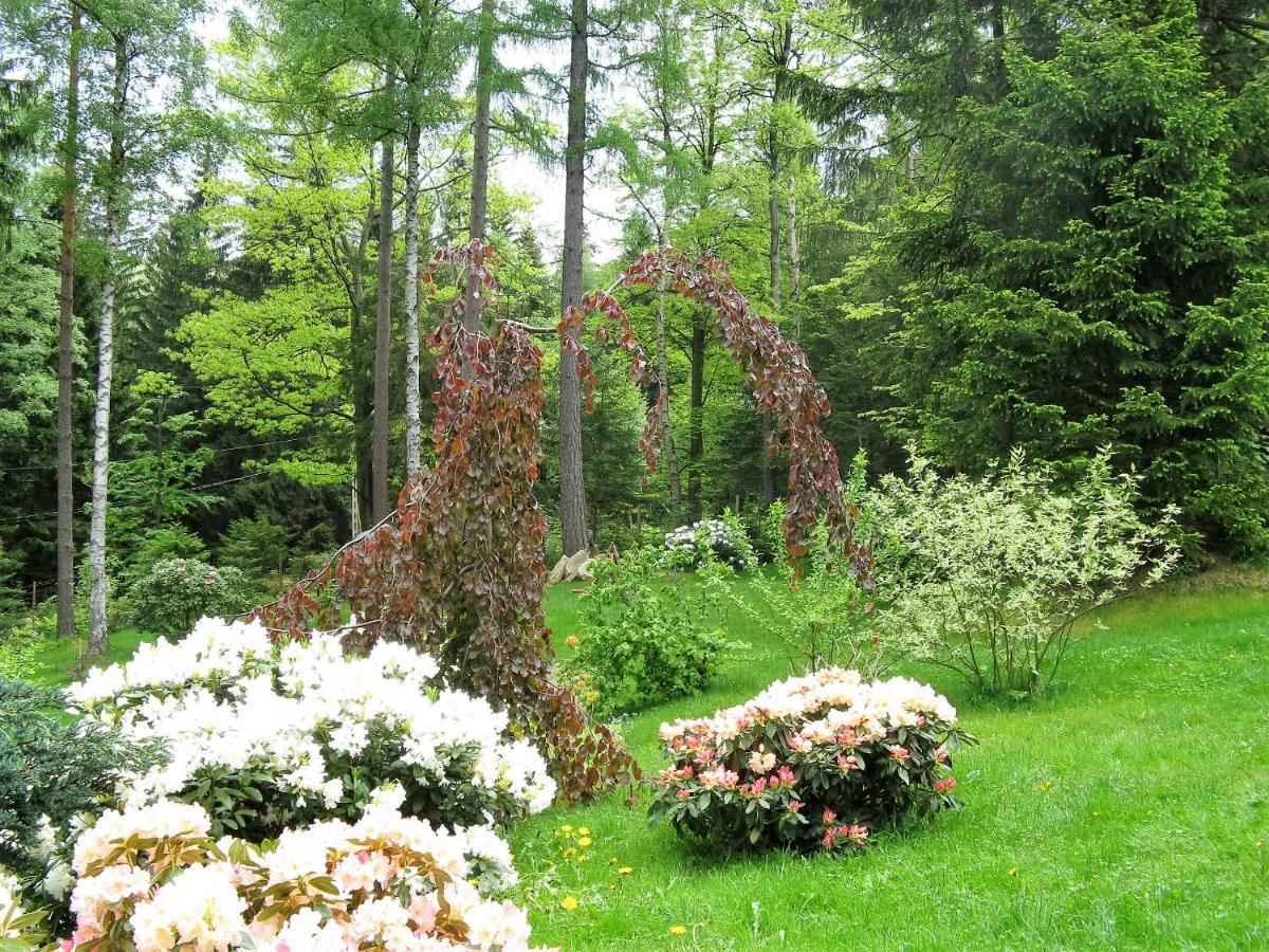 Villa Malinka Karpacz Exteriör bild