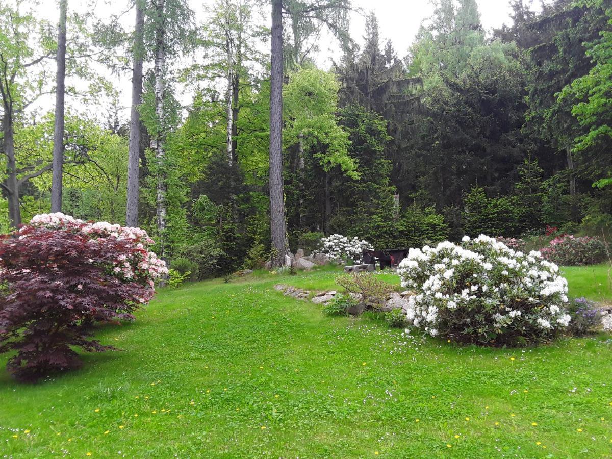 Villa Malinka Karpacz Exteriör bild